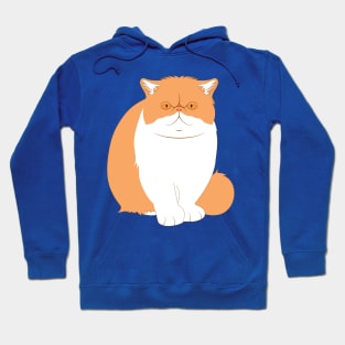 Exotic Shorthair Cat Hoodie